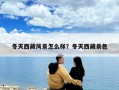 冬天西藏风景怎么样？冬天西藏景色
