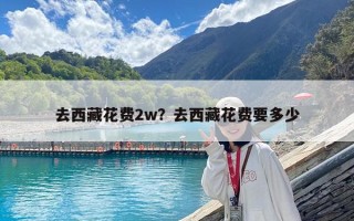 去西藏花费2w？去西藏花费要多少