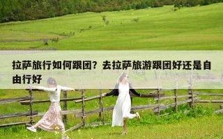 拉萨旅行如何跟团？去拉萨旅游跟团好还是自由行好