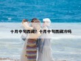 十月中旬西藏？十月中旬西藏冷吗