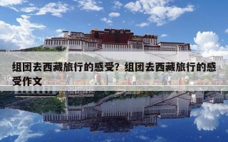 组团去西藏旅行的感受？组团去西藏旅行的感受作文