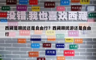 西藏是跟团还是自由行？西藏跟团游还是自由行
