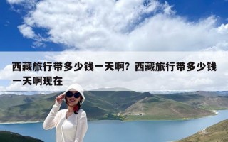 西藏旅行带多少钱一天啊？西藏旅行带多少钱一天啊现在