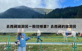 去西藏旅游团一般住哪里？去西藏的旅游团