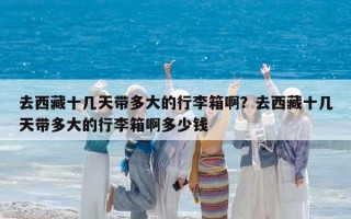 去西藏十几天带多大的行李箱啊？去西藏十几天带多大的行李箱啊多少钱