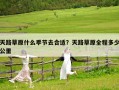 天路草原什么季节去合适？天路草原全程多少公里