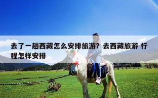 去了一趟西藏怎么安排旅游？去西藏旅游 行程怎样安排
