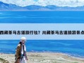 西藏茶马古道旅行社？川藏茶马古道旅游景点
