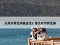 几月份种芝麻最合适？什么时节种芝麻
