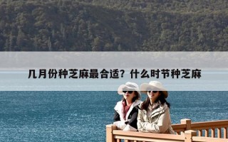 几月份种芝麻最合适？什么时节种芝麻