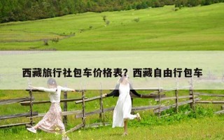 西藏旅行社包车价格表？西藏自由行包车