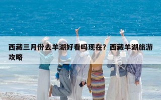 西藏三月份去羊湖好看吗现在？西藏羊湖旅游攻略