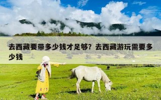去西藏要带多少钱才足够？去西藏游玩需要多少钱