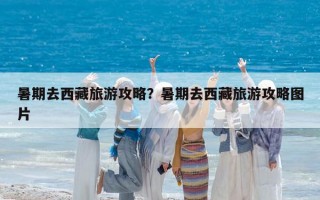 暑期去西藏旅游攻略？暑期去西藏旅游攻略图片