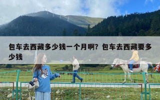 包车去西藏多少钱一个月啊？包车去西藏要多少钱
