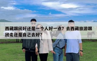 西藏跟团好还是一个人好一点？去西藏旅游跟团走还是自己去好?