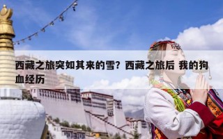 西藏之旅突如其来的雪？西藏之旅后 我的狗血经历