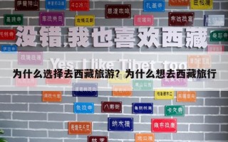 为什么选择去西藏旅游？为什么想去西藏旅行