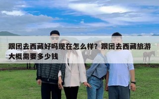 跟团去西藏好吗现在怎么样？跟团去西藏旅游大概需要多少钱