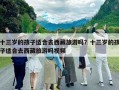 十三岁的孩子适合去西藏旅游吗？十三岁的孩子适合去西藏旅游吗视频