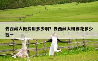 去西藏大概费用多少啊？去西藏大概要花多少钱一