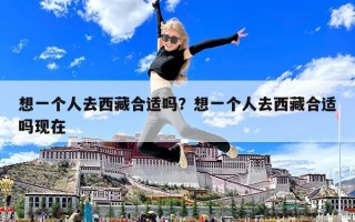 想一个人去西藏合适吗？想一个人去西藏合适吗现在