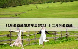 12月去西藏旅游哪里好玩？十二月份去西藏