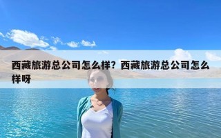 西藏旅游总公司怎么样？西藏旅游总公司怎么样呀