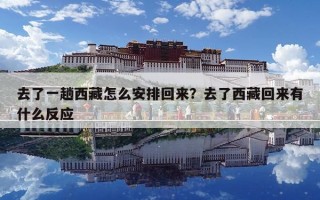 去了一趟西藏怎么安排回来？去了西藏回来有什么反应