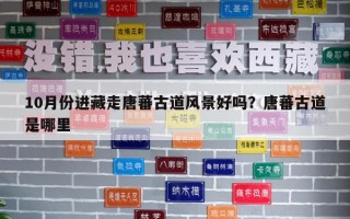 10月份进藏走唐蕃古道风景好吗？唐蕃古道是哪里