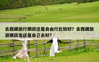 去西藏旅行跟团还是自由行比较好？去西藏旅游跟团走还是自己去好?