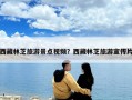 西藏林芝旅游景点视频？西藏林芝旅游宣传片