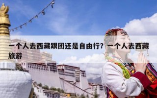 一个人去西藏跟团还是自由行？一个人去西藏旅游