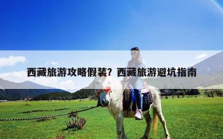 西藏旅游攻略假装？西藏旅游避坑指南