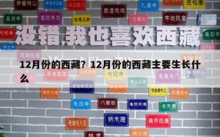 12月份的西藏？12月份的西藏主要生长什么