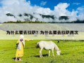 为什么要去拉萨？为什么要去拉萨两次