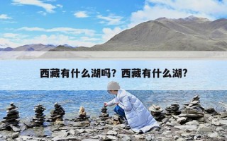 西藏有什么湖吗？西藏有什么湖?