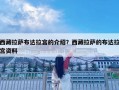西藏拉萨布达拉宫的介绍？西藏拉萨的布达拉宫资料