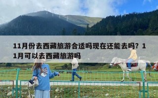 11月份去西藏旅游合适吗现在还能去吗？11月可以去西藏旅游吗
