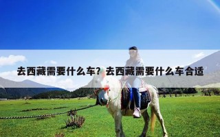去西藏需要什么车？去西藏需要什么车合适
