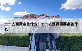 十一去西藏准备什么？十一去西藏需要准备什么