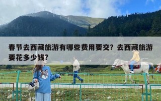春节去西藏旅游有哪些费用要交？去西藏旅游要花多少钱?