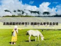 去西藏最好的季节？西藏什么季节去合适