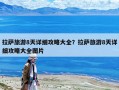 拉萨旅游8天详细攻略大全？拉萨旅游8天详细攻略大全图片