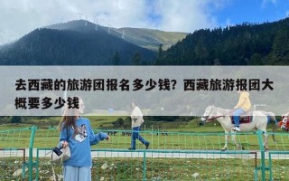 去西藏的旅游团报名多少钱？西藏旅游报团大概要多少钱
