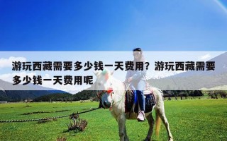 游玩西藏需要多少钱一天费用？游玩西藏需要多少钱一天费用呢