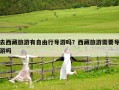 去西藏旅游有自由行导游吗？西藏旅游需要导游吗