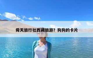 舜天旅行社西藏旅游？狗狗的卡片