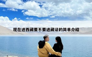 现在进西藏要不要进藏证的简单介绍