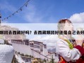 跟团去西藏好吗？去西藏跟团好还是自己去好